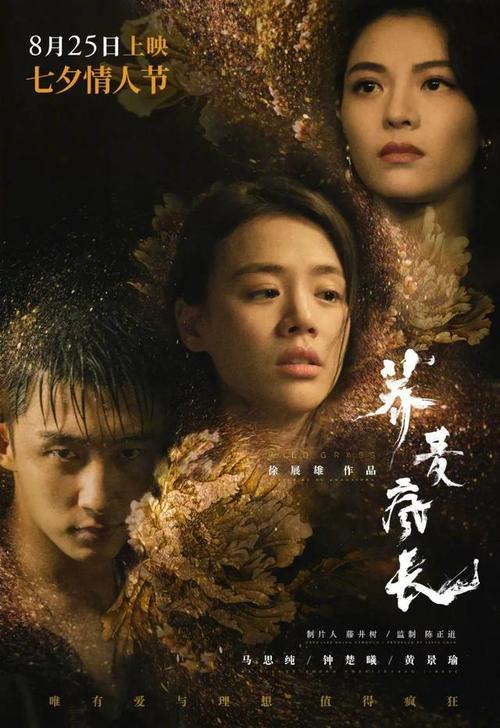 哪里可以办阿尔巴尼亚身份证